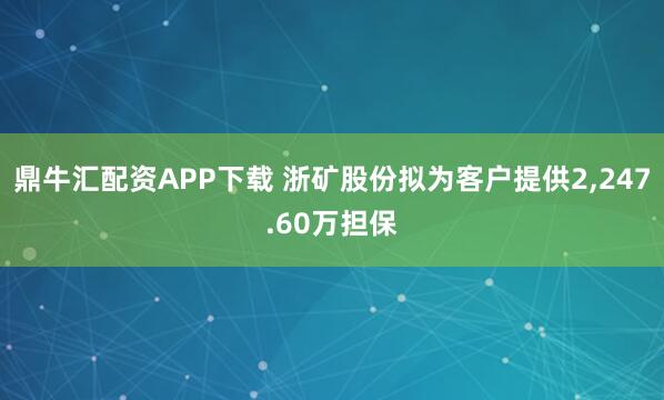 鼎牛汇配资APP下载 浙矿股份拟为客户提供2,247.60万担保